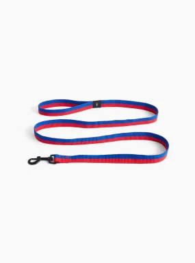 Flat Leash Blue/Red