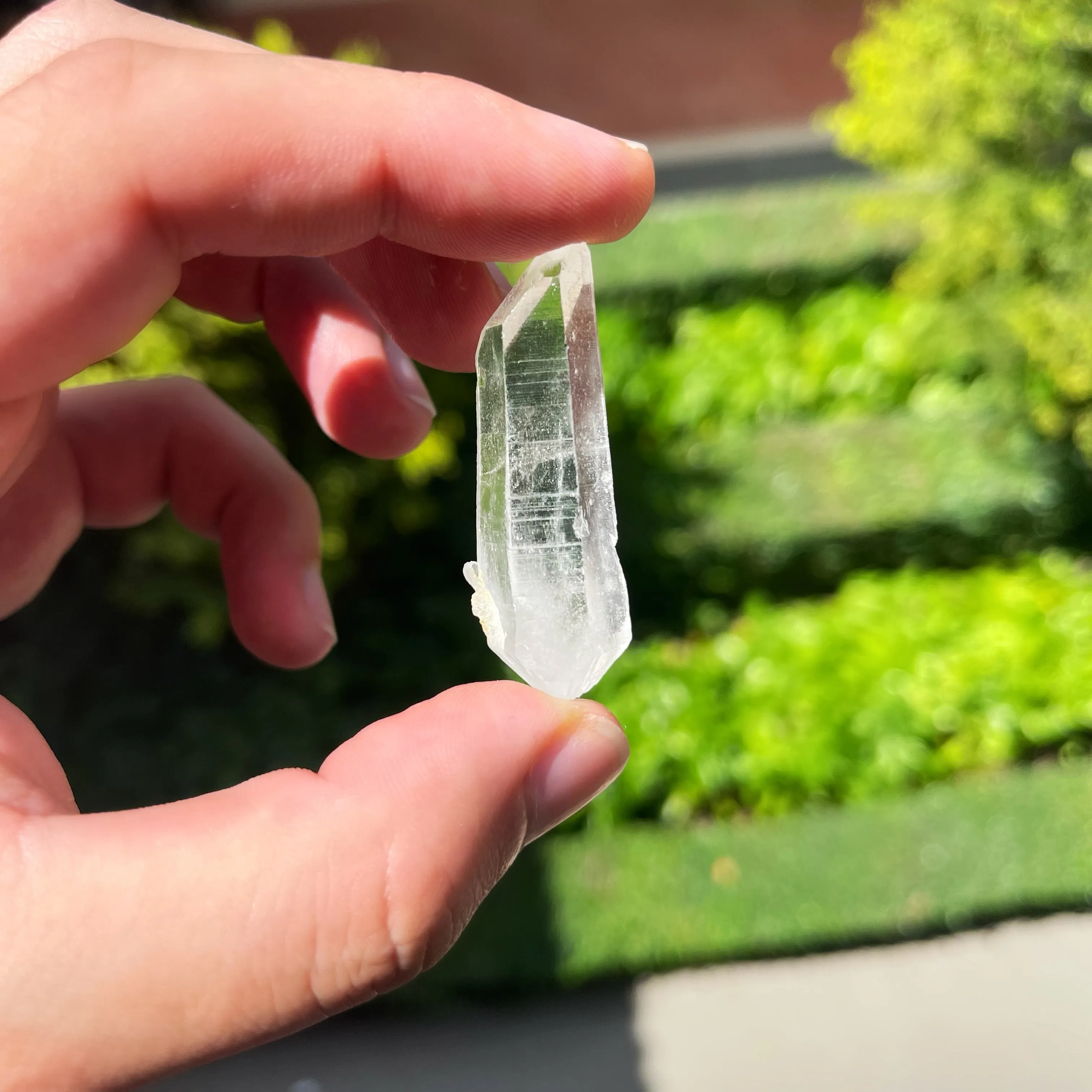 Lemurian Seeds (Clear Quartz)