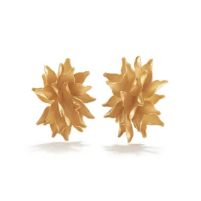 Star Burst Earrings