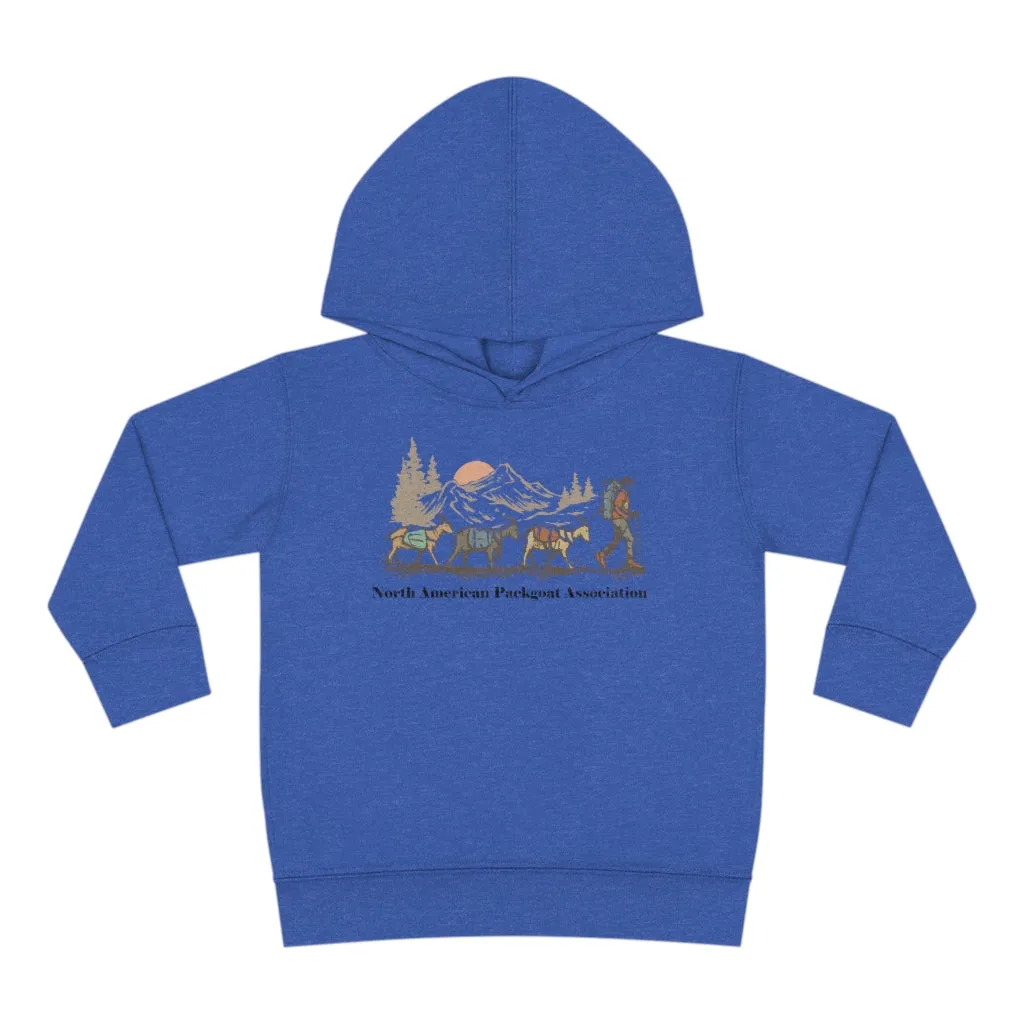 Youth NAPgA Hoodie